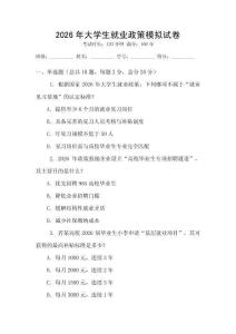 2026年大學(xué)生就業(yè)政策模擬試卷