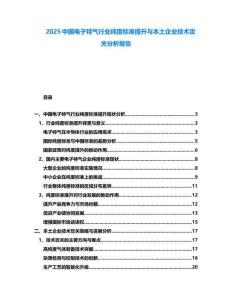 2025中國電子特氣行業(yè)純度標準提升與本土企業(yè)技術攻關分析報告
