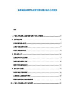 中国生鲜电商平台运营效率与用户粘性分析报告