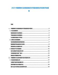 2025中國(guó)鋼鐵行業(yè)智能制造與節(jié)能減排技術(shù)投資評(píng)估報(bào)告