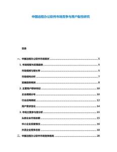中国远程办公软件市场竞争与用户黏性研究