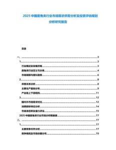 2025中國(guó)度角夾行業(yè)市場(chǎng)現(xiàn)狀供需分析及投資評(píng)估規(guī)劃分析研究報(bào)告