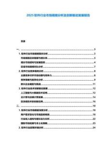 2025軟件行業(yè)市場(chǎng)規(guī)模分析及創(chuàng)新驅(qū)動(dòng)發(fā)展報(bào)告