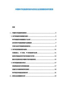 中國(guó)種子輪融資機(jī)制與初創(chuàng)企業(yè)發(fā)展路徑研究報(bào)告