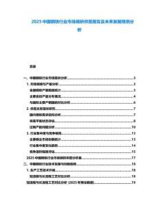 2025中國(guó)鋼鐵行業(yè)市場(chǎng)調(diào)研供需報(bào)告及未來(lái)發(fā)展預(yù)測(cè)分析