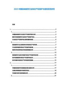 2025中國鋁硅酸鈣行業知識產權保護與侵權防范研究