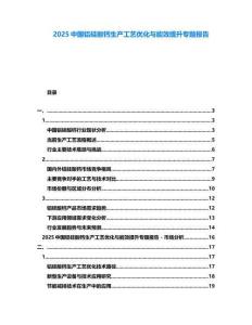 2025中國鋁硅酸鈣生產(chǎn)工藝優(yōu)化與能效提升專題報(bào)告