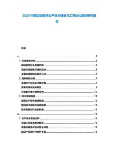 2025中國鋁硅酸鈣生產(chǎn)技術(shù)壁壘與工藝優(yōu)化路徑研究報(bào)告