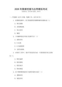 2026年数据挖掘与应用模拟考试