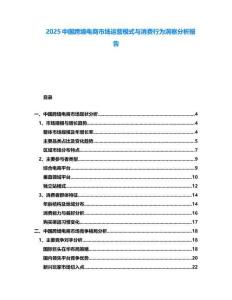 2025中國跨境電商市場運營模式與消費行為洞察分析報告