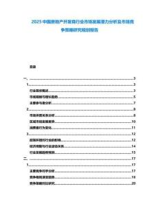 2025中國房地產(chǎn)開發(fā)商行業(yè)市場發(fā)展?jié)摿Ψ治黾笆袌龈偁幉呗匝芯恳?guī)劃報告