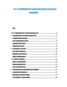 2025中美洲智能手機產業(yè)鏈市場供應現狀分析及技術創(chuàng)新發(fā)展策略