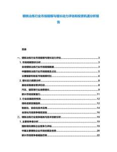 鋼鐵冶煉行業(yè)市場規(guī)模與增長動力評估和投資機遇分析報告