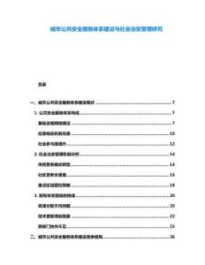 城市公共安全服務(wù)體系建設(shè)與社會治安管理研究