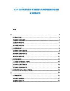 2025軟件開發行業市場發展潛力競爭格局投資價值評估未來趨勢報告