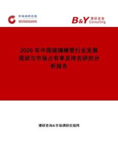 2026年中國玻璃棒管行業(yè)發(fā)展現(xiàn)狀與市場占有率及排名研究分析報(bào)告