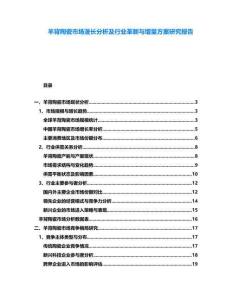 羊背陶瓷市場漫長分析及行業(yè)革新與增量方案研究報告
