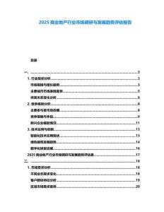 2025商業(yè)地產(chǎn)行業(yè)市場調(diào)研與發(fā)展趨勢評估報告