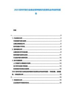 2025軟件開發(fā)行業(yè)商業(yè)競爭格局與投資機會評估研究報告
