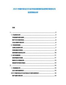 2025中國共享出行行業(yè)市場(chǎng)深度調(diào)研及政策環(huán)境變化與投資策略分析