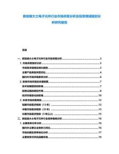 新加坡大士電子元件行業(yè)市場供需分析及投資領(lǐng)域規(guī)劃分析研究報(bào)告