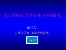 [临床医学]蛋白尿临床诊治指南—CARI指南