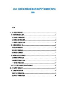 2025總結行業市場運營及未來規劃與產業發展綜合評估報告