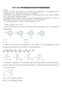 2025-2026学年云南省临沧市毕业升学考试模拟卷物理卷（含答案解析）