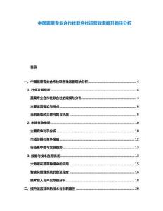 中國蔬菜專業(yè)合作社聯(lián)合社運營效率提升路徑分析