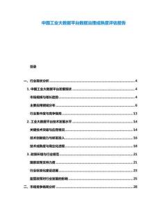 中國(guó)工業(yè)大數(shù)據(jù)平臺(tái)數(shù)據(jù)治理成熟度評(píng)估報(bào)告