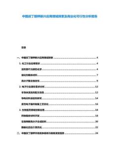 中國叔丁醇鉀新興應用領域探索及商業(yè)化可行性分析報告