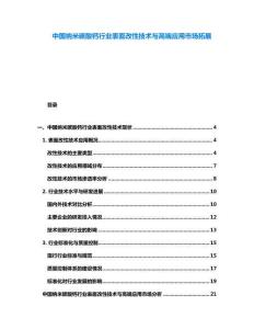中國納米碳酸鈣行業(yè)表面改性技術(shù)與高端應(yīng)用市場拓展