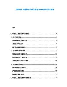 中國無人駕駛技術(shù)商業(yè)化路徑與市場風(fēng)險(xiǎn)評估報(bào)告