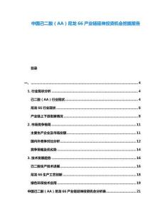 中國己二酸（AA）尼龍66產(chǎn)業(yè)鏈延伸投資機會挖掘報告