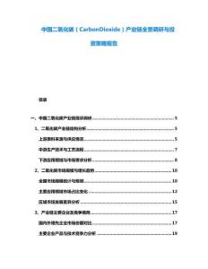 中國二氧化碳（CarbonDioxide）產(chǎn)業(yè)鏈全景調(diào)研與投資策略報告
