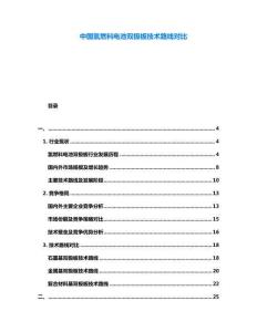中國氫燃料電池雙極板技術(shù)路線對比
