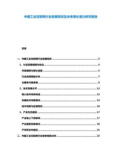 中國(guó)工業(yè)互聯(lián)網(wǎng)行業(yè)發(fā)展現(xiàn)狀及未來(lái)增長(zhǎng)潛力研究報(bào)告