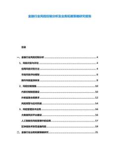 金融行業(yè)風(fēng)險(xiǎn)控制分析及業(yè)務(wù)拓展策略研究報(bào)告