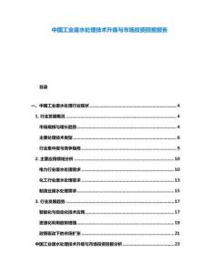中國工業(yè)廢水處理技術(shù)升級與市場投資回報報告