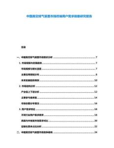 中國(guó)真空排氣裝置市場(chǎng)終端用戶需求畫像研究報(bào)告
