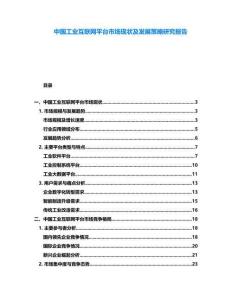中國(guó)工業(yè)互聯(lián)網(wǎng)平臺(tái)市場(chǎng)現(xiàn)狀及發(fā)展策略研究報(bào)告