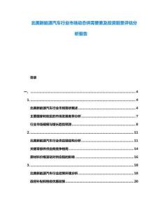 北美新能源汽車行業(yè)市場(chǎng)動(dòng)態(tài)供需要素及投資前景評(píng)估分析報(bào)告