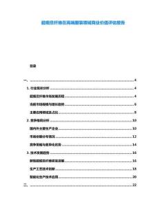 超細旦纖維在高端服裝領域商業(yè)價值評估報告