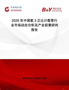 2026年中國氦3正比計數(shù)管行業(yè)市場動態(tài)分析及產業(yè)前景研判報告