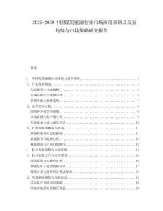 2025-2030中國煤炭能源行業(yè)市場深度調研及發(fā)展趨勢與市場策略研究報告