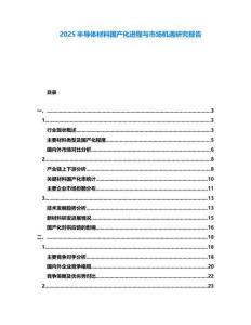 2025半導(dǎo)體材料國產(chǎn)化進(jìn)程與市場(chǎng)機(jī)遇研究報(bào)告