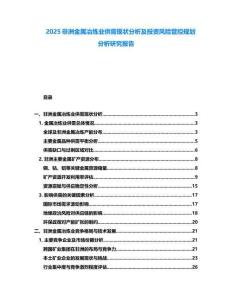 2025非洲金屬冶煉業供需現狀分析及投資風險管控規劃分析研究報告