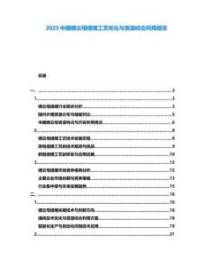 2025中國鋰云母提鋰工藝優化與資源綜合利用報告