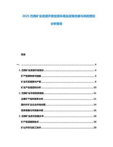 2025巴西礦業資源開發投資環境及政策優惠與風險管控分析報告