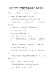 2026年中小學(xué)數(shù)學(xué)思維訓(xùn)練與試題解析